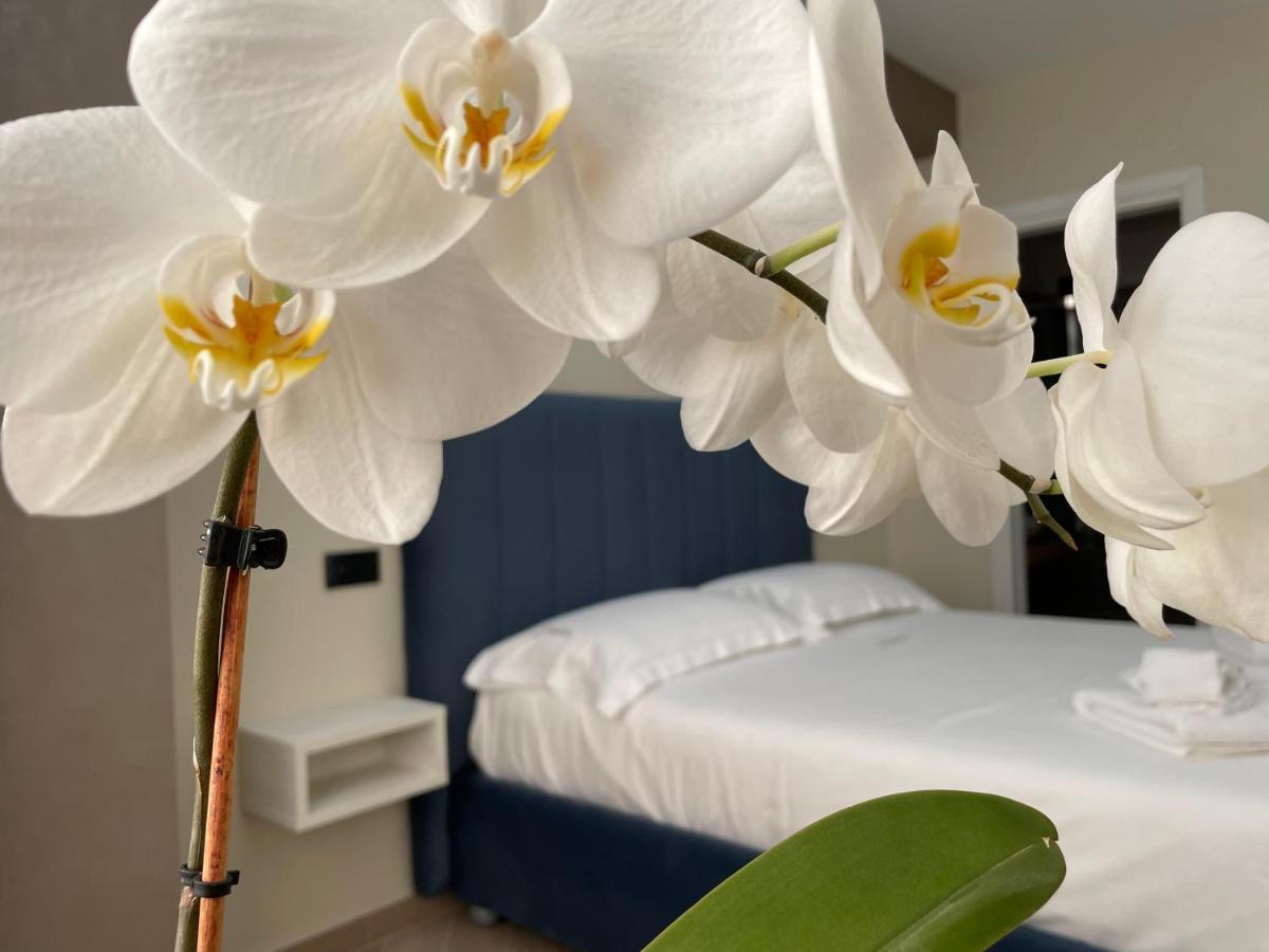 B&B L'Orchidea Тропеа Екстериор снимка